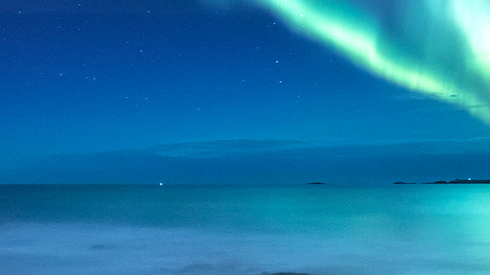 The Schumann Resonances