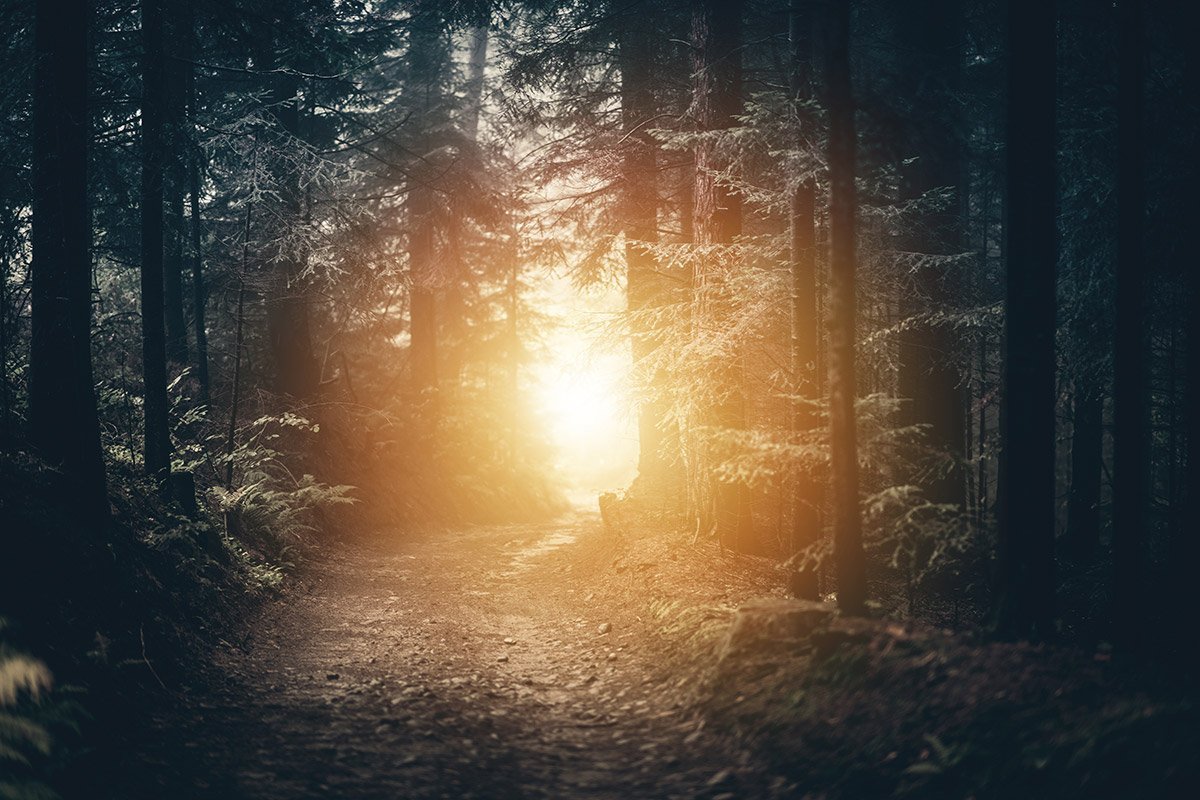 A Bewildering Light. | Mettaverse