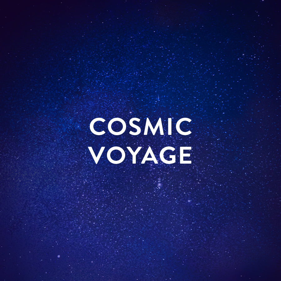A Cosmic Voyage