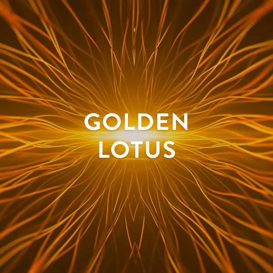 afandi-: Artificial modern lotus logo