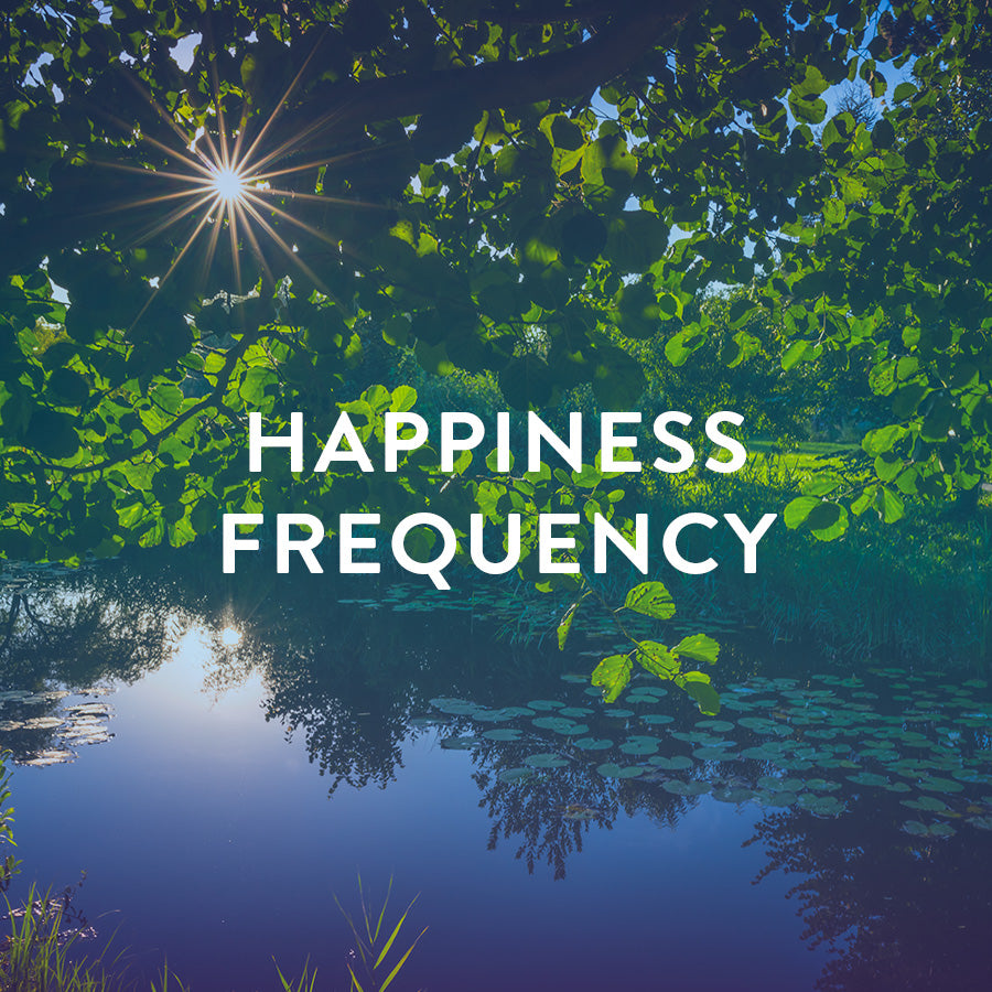 happiness s-l400.jpg