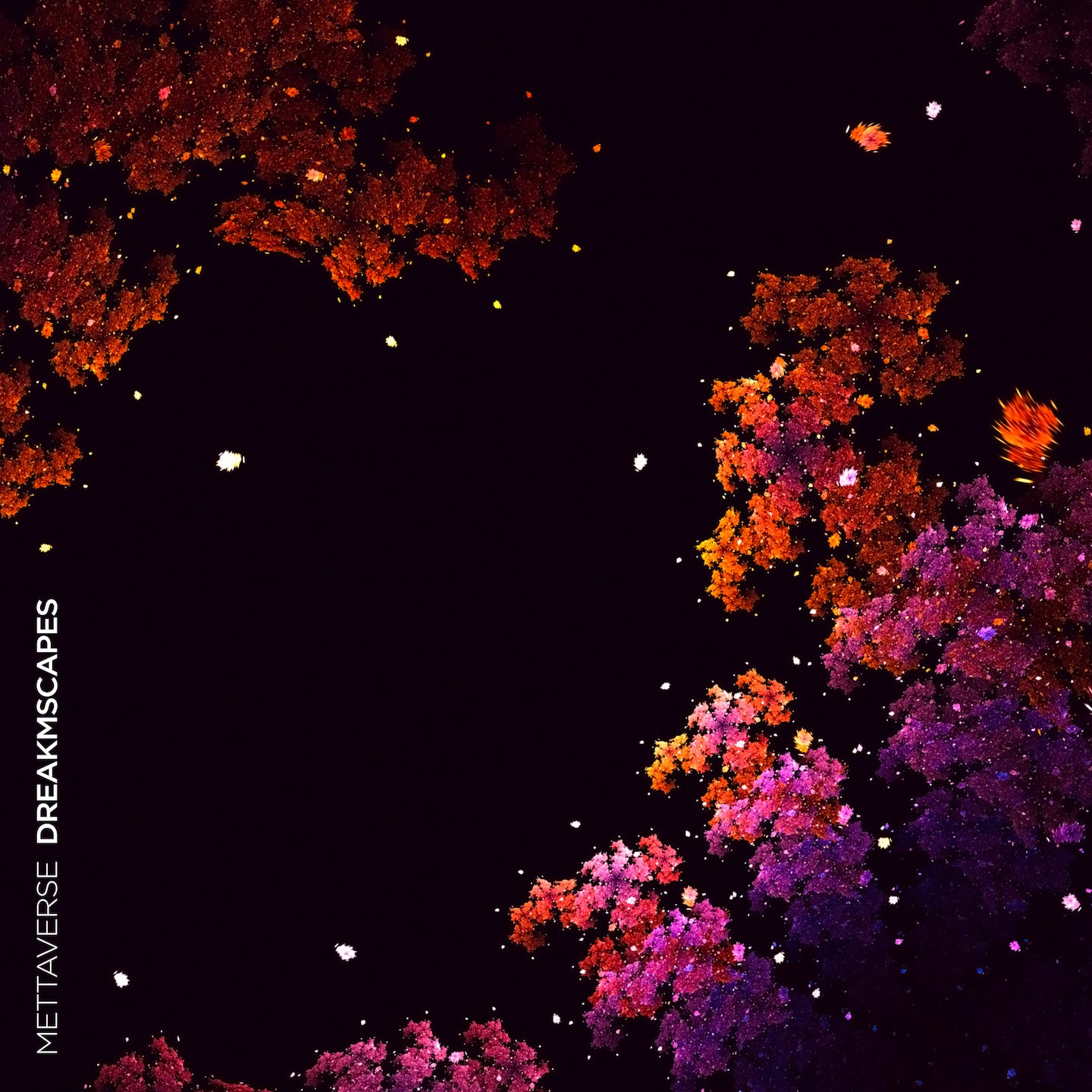 Deep Lucid
